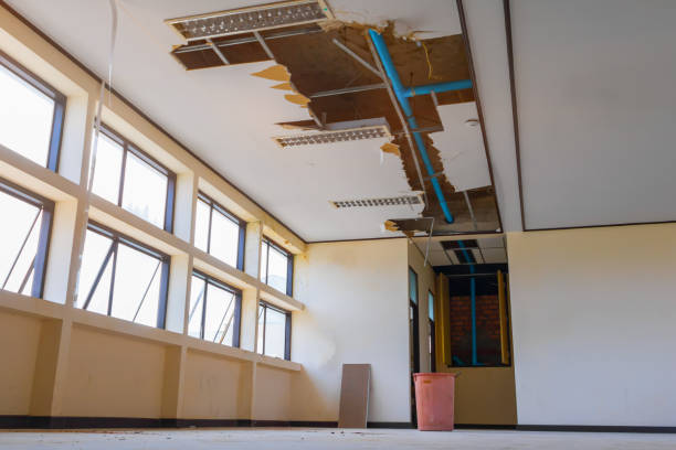 Best 24/7 water damage repair  in Banks Springs, LA