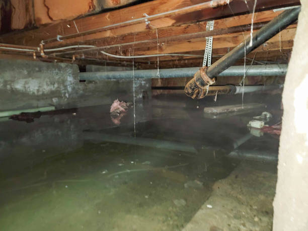 Reliable Banks Springs, LA Water damage restoration Solutions