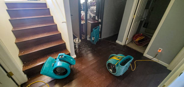 Best Water damage restoration mold remediation  in Banks Springs, LA