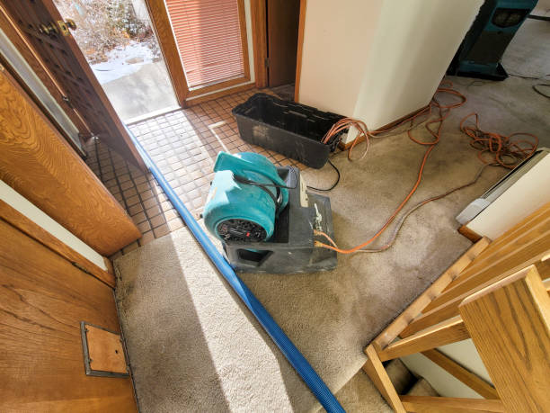 Best Sewage cleanup and water damage restoration  in Banks Springs, LA