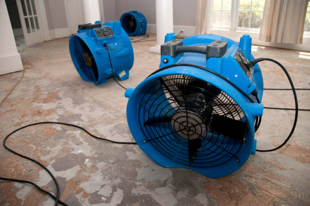 Best Sewage cleanup and water damage restoration  in Banks Springs, LA