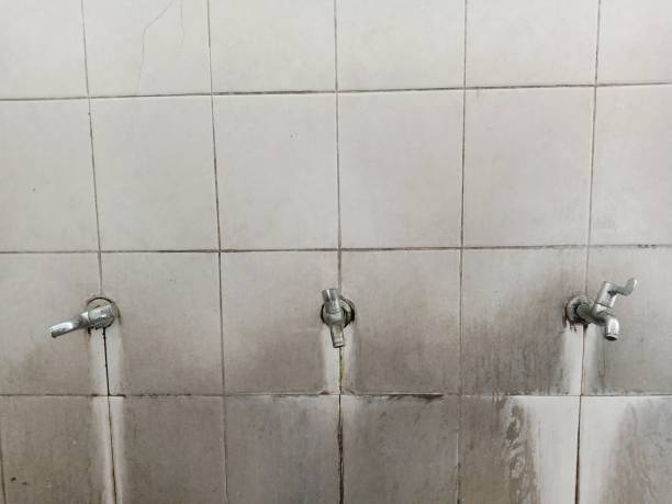 Best Local water damage restoration  in Banks Springs, LA