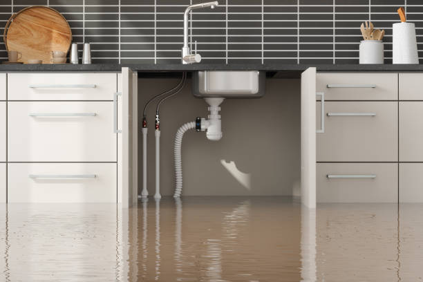 Best Carpet water damage restoration  in Banks Springs, LA