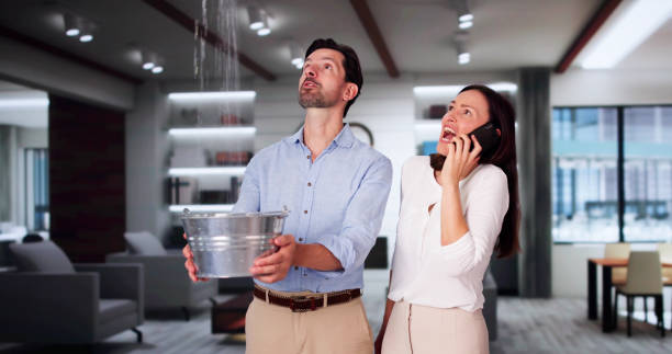 Best Water damage restoration near me  in Banks Springs, LA